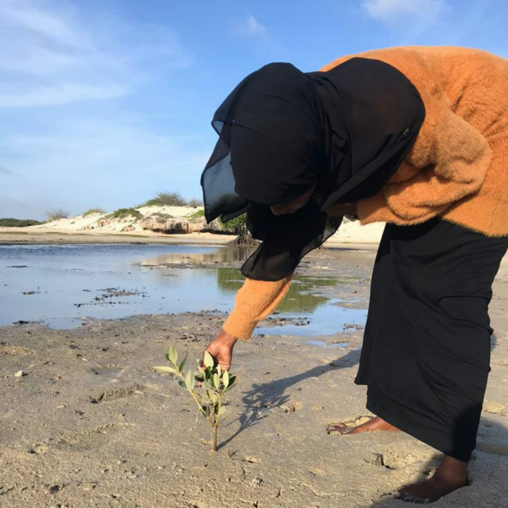 My connection with nature: Experience of Field Visit in Abay-Dhahan Beach, near Mogadishu￼￼